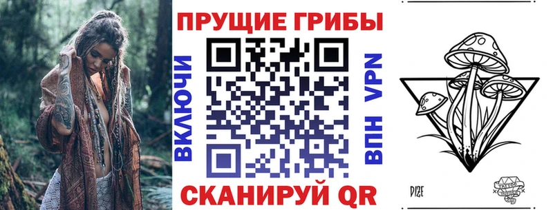 Псилоцибиновые грибы Psilocybine cubensis  Торопец 